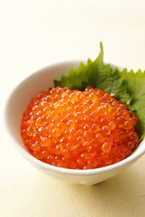 いくらの醤油漬け　Japanese soy sauce with the salmon roe