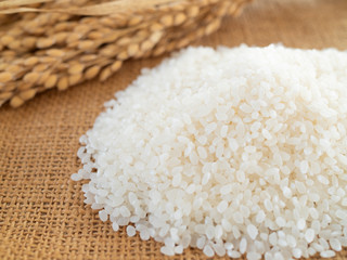 白米