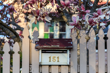 lantern in the garden
