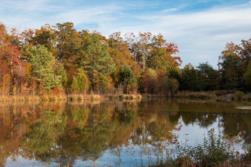 autumn landscape with lake and trees