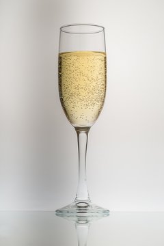 Champagne Glass on Grey Background
