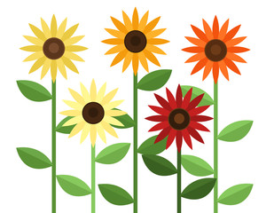 Vector illustration of five different colored sunflowers