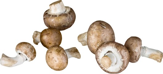 Crimini Mushrooms - Isolated