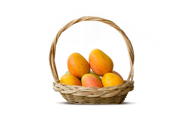 Mango tropical fruit in wooden basket isolated white background