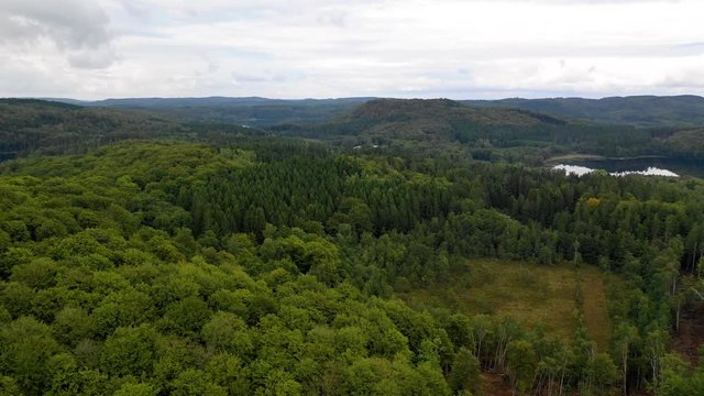 Aerial view over big green forest with lake and hills. Cloudy blu sky. PAN LEFT TO RIGHT.
