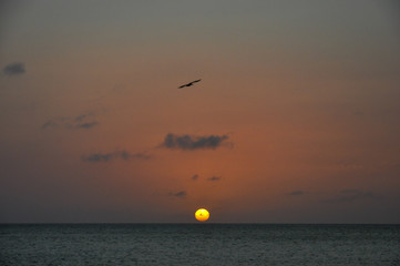 Aruba's Sunset