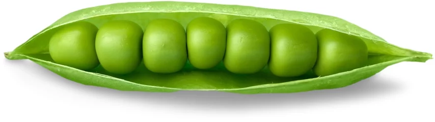 Foto op Plexiglas Green Peas in a Pod © BillionPhotos.com