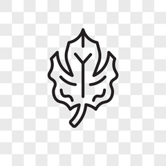 Leaf vector icon isolated on transparent background, Leaf logo design