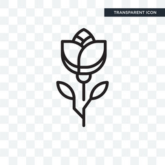 Flower vector icon isolated on transparent background, Flower logo design