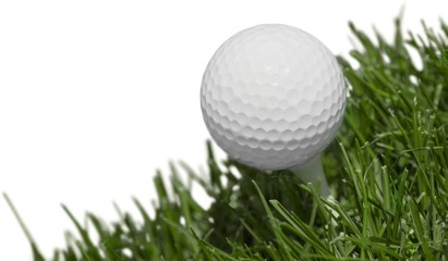 Fototapeta premium golf ball on a grass