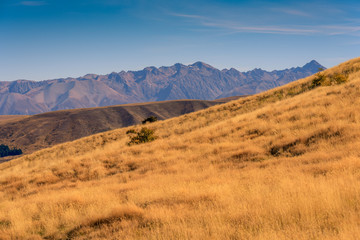 Tekapo, New Zealand