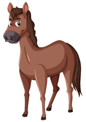 A horse on white background