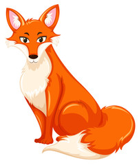 Obraz premium A red fox on white backgroud