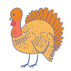 Turkey vector illustration, thanksgiving character