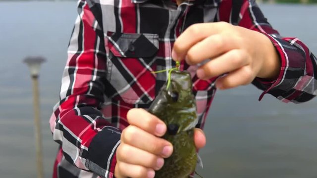 Child grabs a male Bluegill Sunfish too hard and squeezes out the milt on his red flannel shirt while trying to remove the hook while fishing from the dock