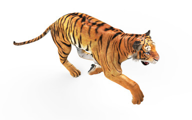 Fototapeta na wymiar 3d Illustration Dangerous Bengal Tiger Roaring and Jumping Isolated on White Background with Clipping Path.