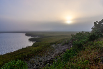 Fototapeta na wymiar Fog on the salt marsh