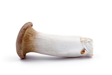 Oringi mushroom isolated on white background