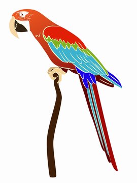 illustration of a parrot , vector drawing
