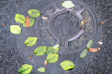 地面に落ちた本物の葉と作り物の葉