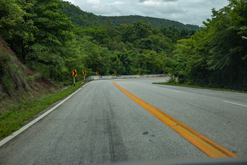 Road bend in forest.