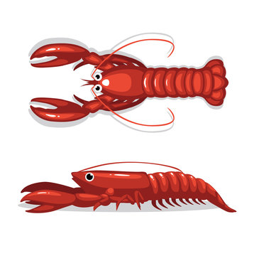 Cute Lobster Top Side View Cartoon Pose