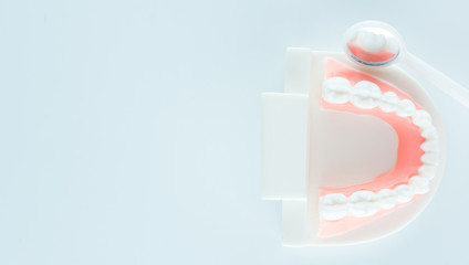 Dental model with dental tool on white background in health care concept.