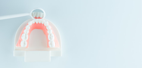Dental model with dental tool on white background in health care concept.