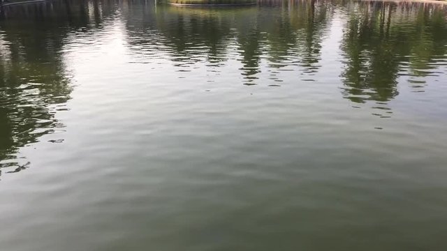 reflex in the water