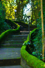 Mossy Stairs nearby the beach of the Bali island, Indonesia. Bali is an Indonesian island and known as a tourist destination. In Bali, rice harvest seasons come three times in a year.