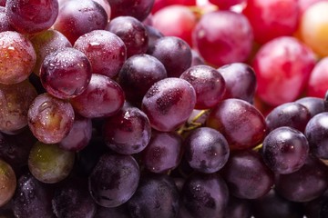 Red Grape Clusters Close-up