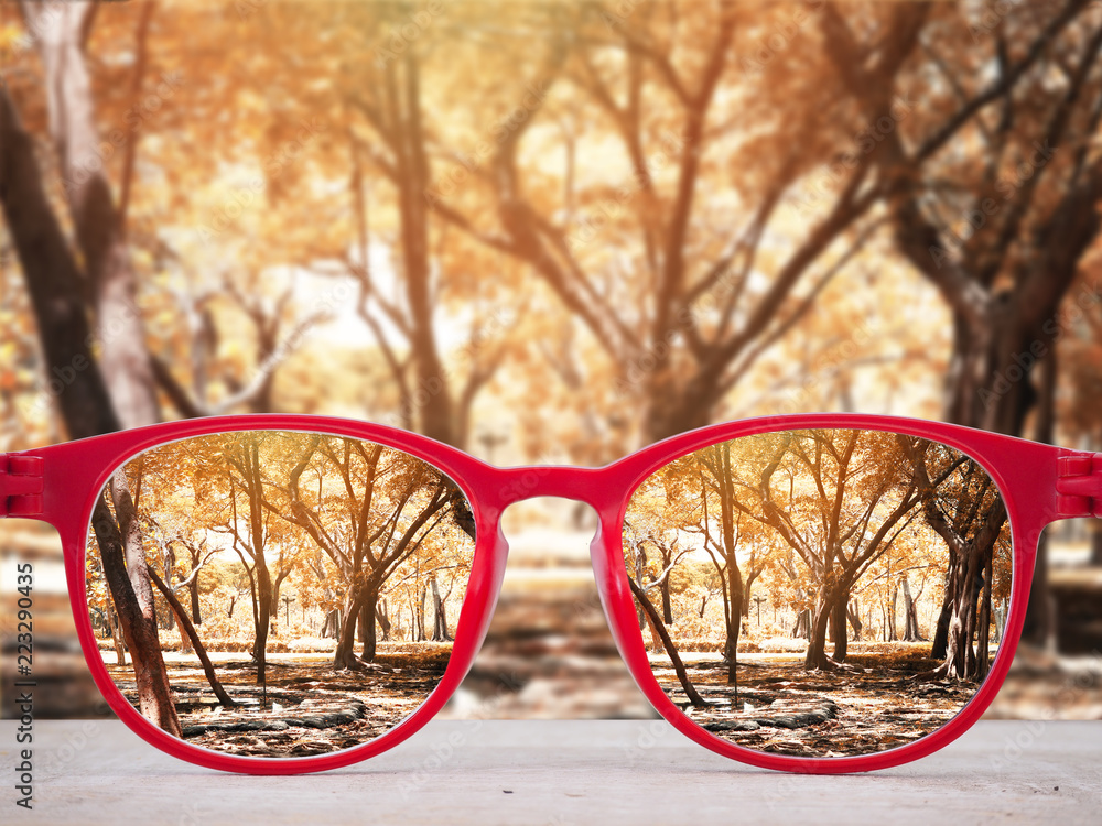 Canvas Prints autumn park background focused in red glasses lenses on wooden table.