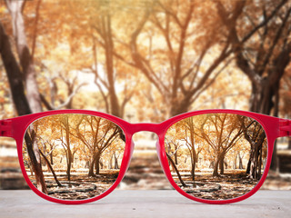 Autumn park background focused in red glasses lenses on wooden table.