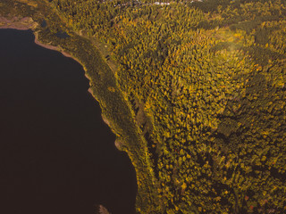 Forest river. Autumn landscape. Taiga forest from aerial view. Vasyugan swamp. Rural landscape