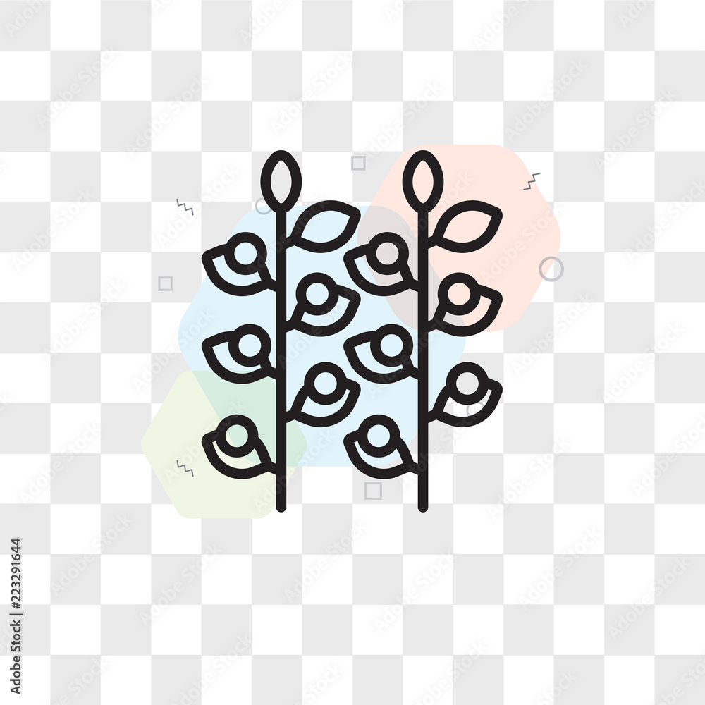 Poster grapevine vector icon isolated on transparent background, grapevine logo design