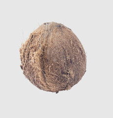 coconuts isolated on gray background clipping path