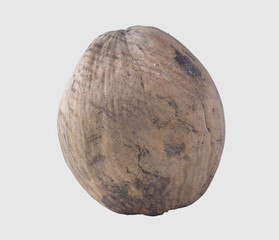 coconuts isolated on gray background clipping path