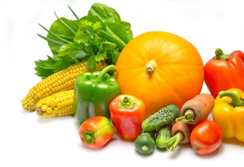 Plakat vegetables parsley and salad and young corn and paprika and carrots and cucumbers white background