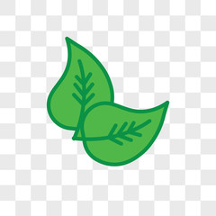 Apple leaf vector icon isolated on transparent background, Apple leaf logo design
