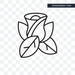 Rose vector icon isolated on transparent background, Rose logo design