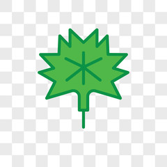 Maple leaf vector icon isolated on transparent background, Maple leaf logo design