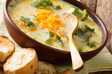 broccoli cheese soup served with toasted bread close-up in a bowl. horizontal