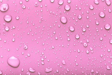 Drops of water on a color background. Pink. Toned