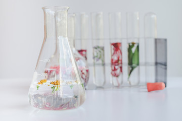 Small plants in test tube for biotechnology medicine research.