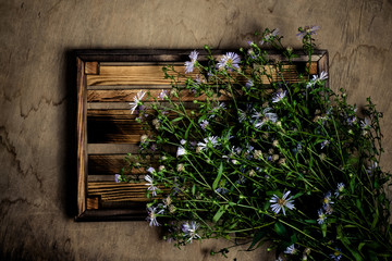 Fresh flowers and herbs on a wooden burned rustic texture for background. Rough weathered wooden board. Toned