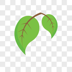 Leaves vector icon isolated on transparent background, Leaves logo design