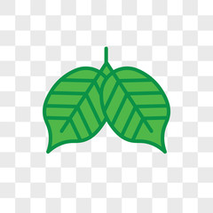 Poplar leaf vector icon isolated on transparent background, Poplar leaf logo design