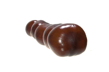 chestnut isolated on white background