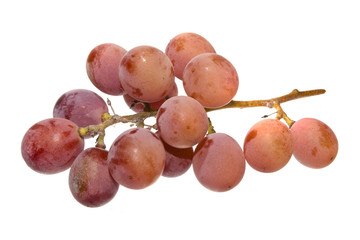 grapes isolated on white background