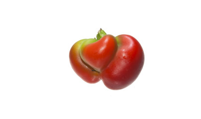 pepper isolated on white background